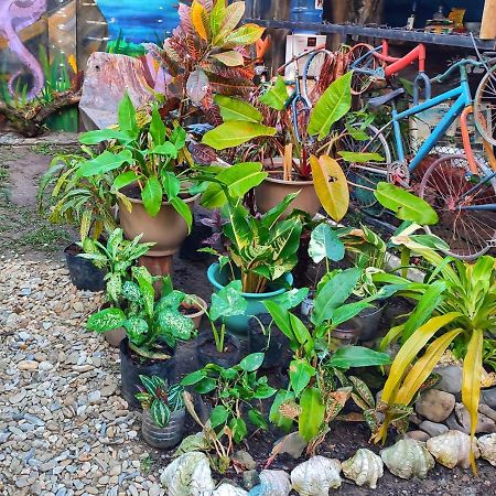 Castaway Native Huts Apartment San Vicente  Exterior photo